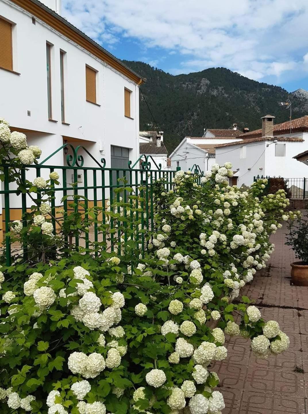 Albergue Ruta Rio Borosa Coto Rios Ngoại thất bức ảnh